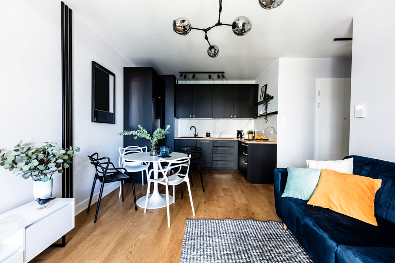 what an efficiency apartment is