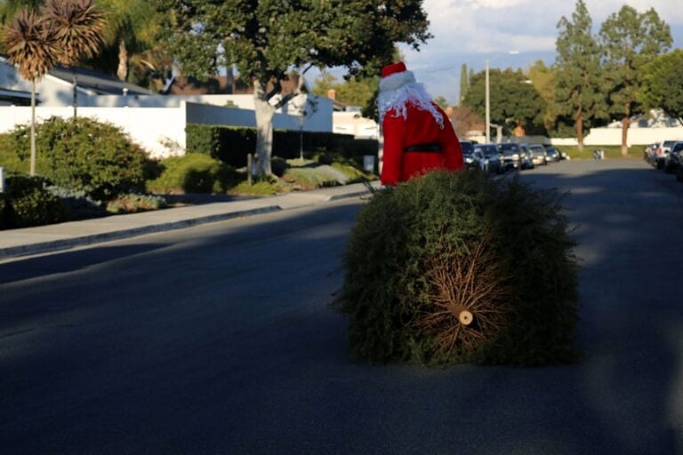 santa with christmas tree