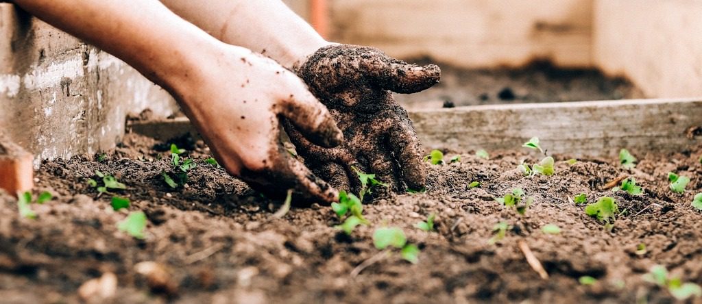 best cities for gardening