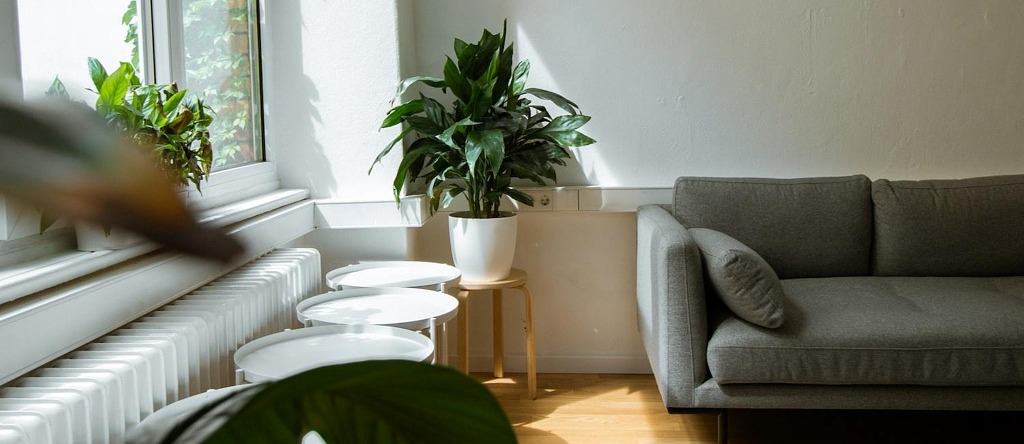 minimalist apartment with gray couch