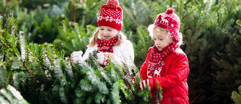 kids looking at trees