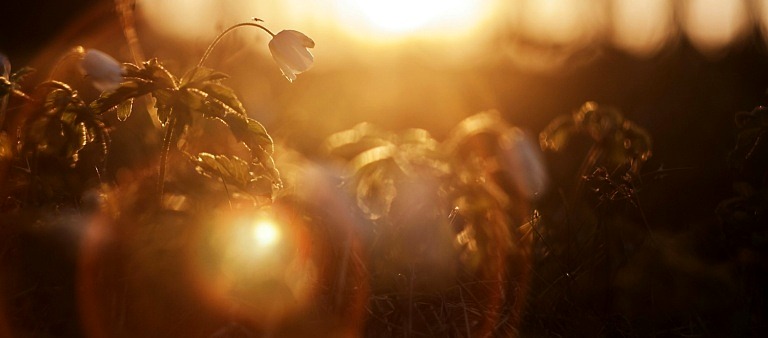 winter candle scents