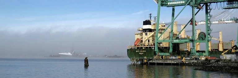 Pigeon Creek Trail in Everett.